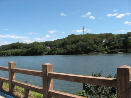 画像19